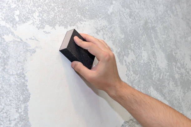 Best Mold Documentation for Insurance Claims  in Yarrow Point, WA
