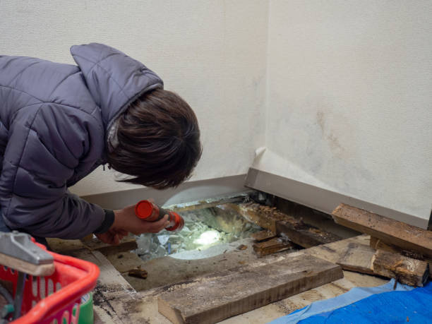 Best Real Estate Mold Inspection  in Yarrow Point, WA