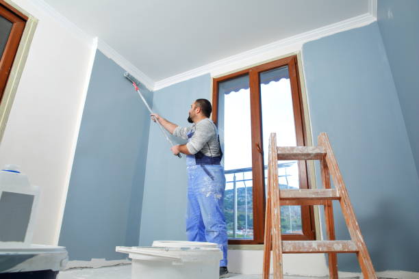 Best Basement Mold Removal  in Yarrow Point, WA