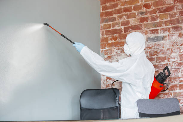 Best Airborne Mold Testing  in Yarrow Point, WA