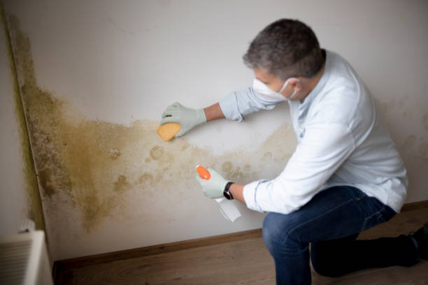 Best HVAC Mold Inspection and Cleaning  in Yarrow Point, WA