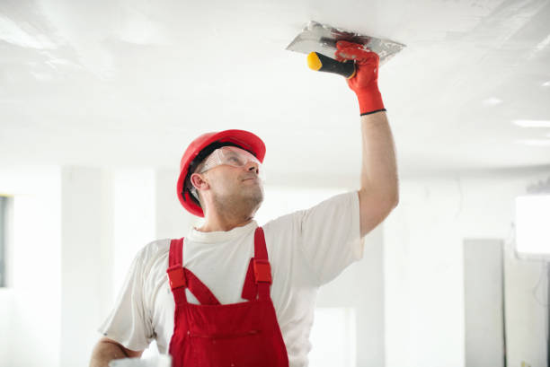 Best Black Mold Removal  in Yarrow Point, WA